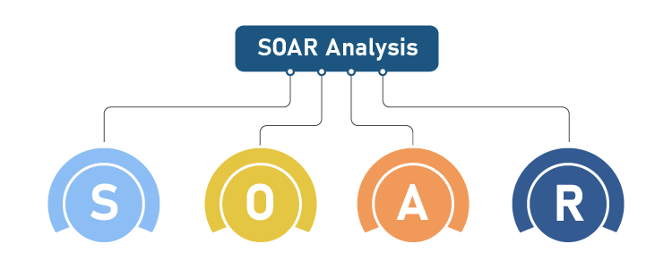 Soar Analysis | Strategic Business Plan Example