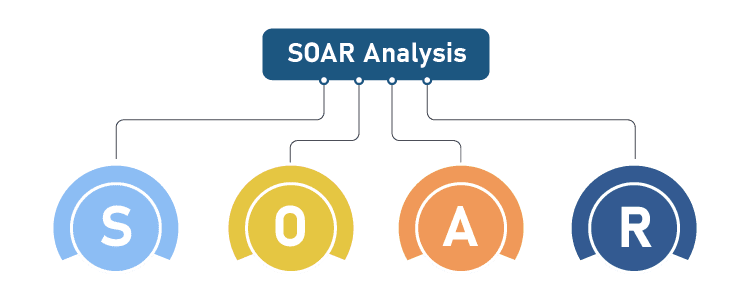 Soar Analysis | Strategic Business Plan Example