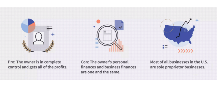 Sole Proprietorships | Legal structure of your business