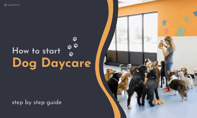 Starting a Dog Daycare Starting a Dog Daycare