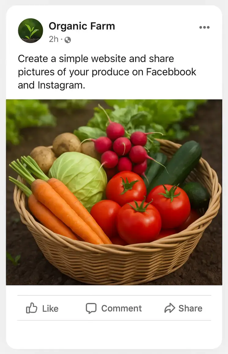 marketing strategies