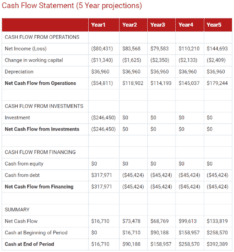 projected cash flow statement for event planning business