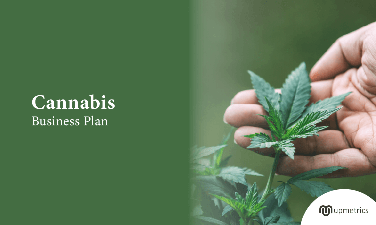 How to Write a Cannabis Business Plan + Free Template - Upmetrics