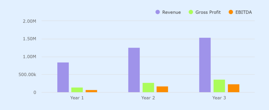 Projected profit and loss statement of construction