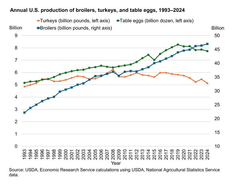 Annual us production of broilers turkeys and table eggs