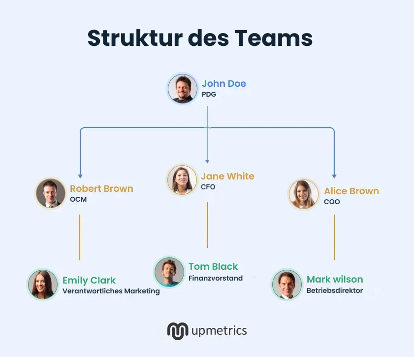 struktur des teams