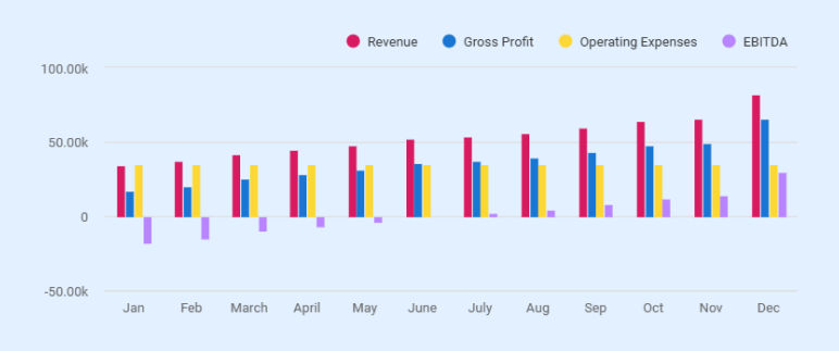 Cyber security business plan cash flow projection