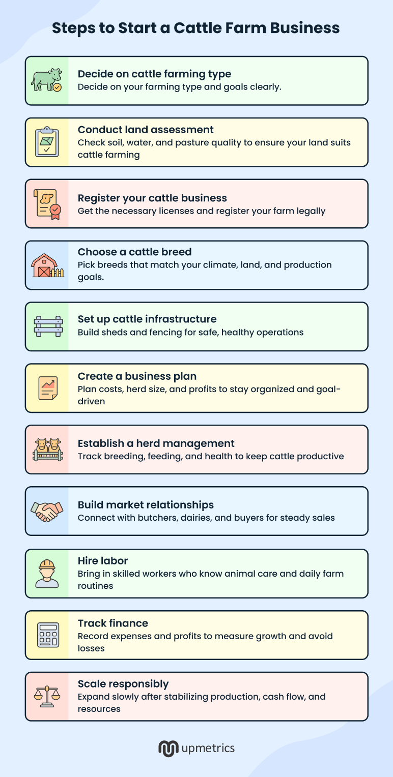 Steps to start a cattle farm bbusiness