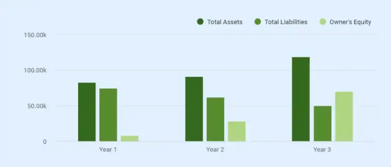 Projected profit and loss statement