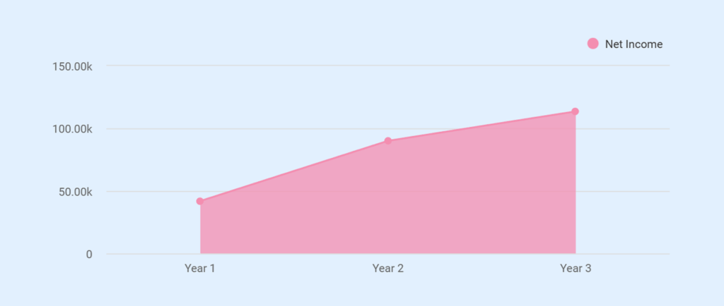 Profit and loss statement of web design business plan