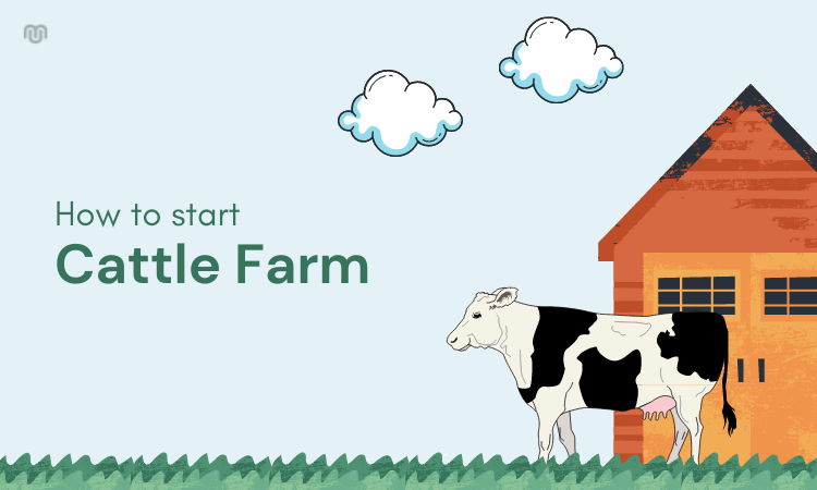 How to Start Cattle Farm Business - Step by Step Guide