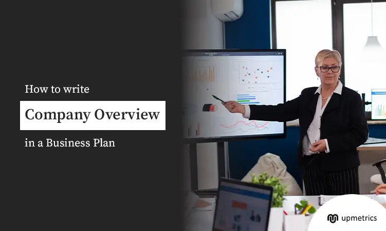How to Write Company Overview for Business Plan