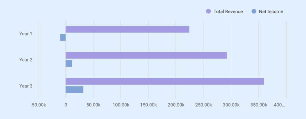 Projected profit and loss statement