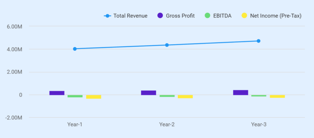 Gas station business plan profit & loss statement
