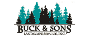 Buck and sons