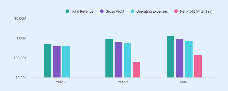 Profit and loss statement