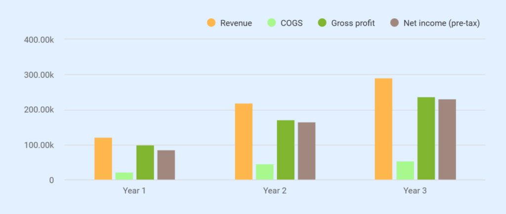 Cleaning company business plan profit and loss statement
