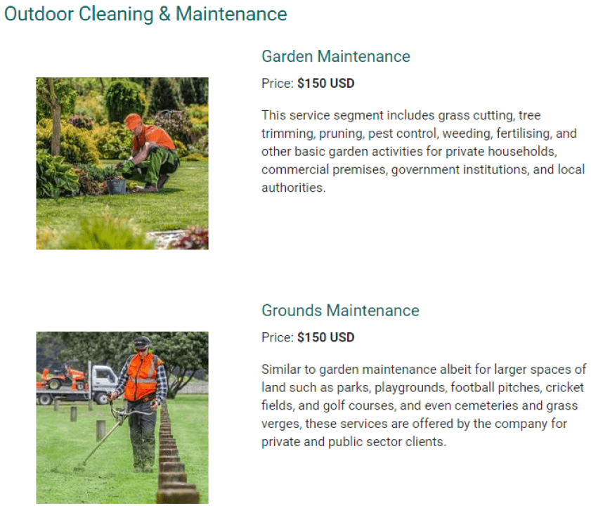 example of cleaning business service offerings