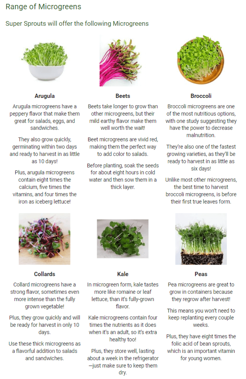 products and service offering section example for microgreens business
