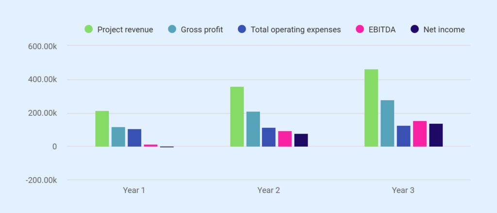 Profit and loss statement of production company business plan