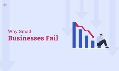 Small Businesses Fail