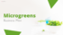 sample business plan for food business sample business plan for food business