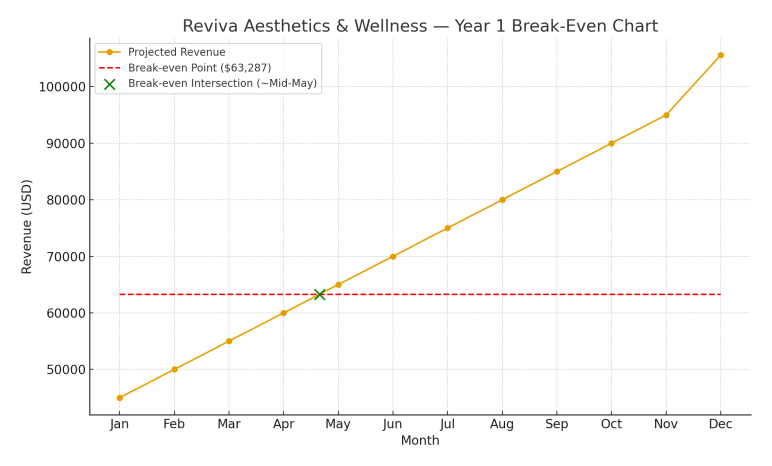 Medical spa business plan reviva aesthetics and wellness