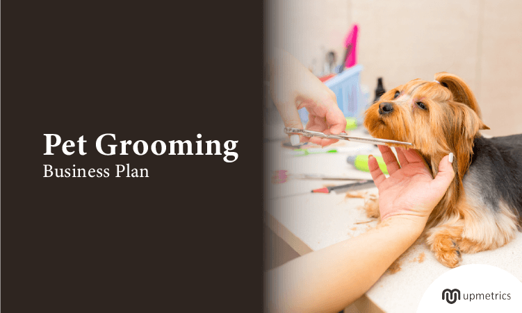 Pet Grooming Business Plan Template 2024