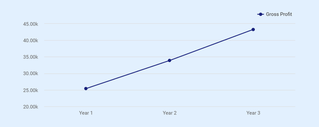 Boutique business plan projected income statement