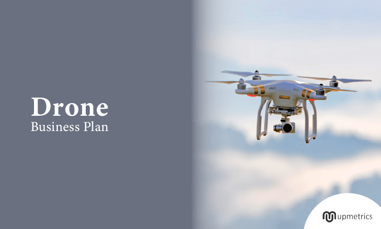 drone business plan