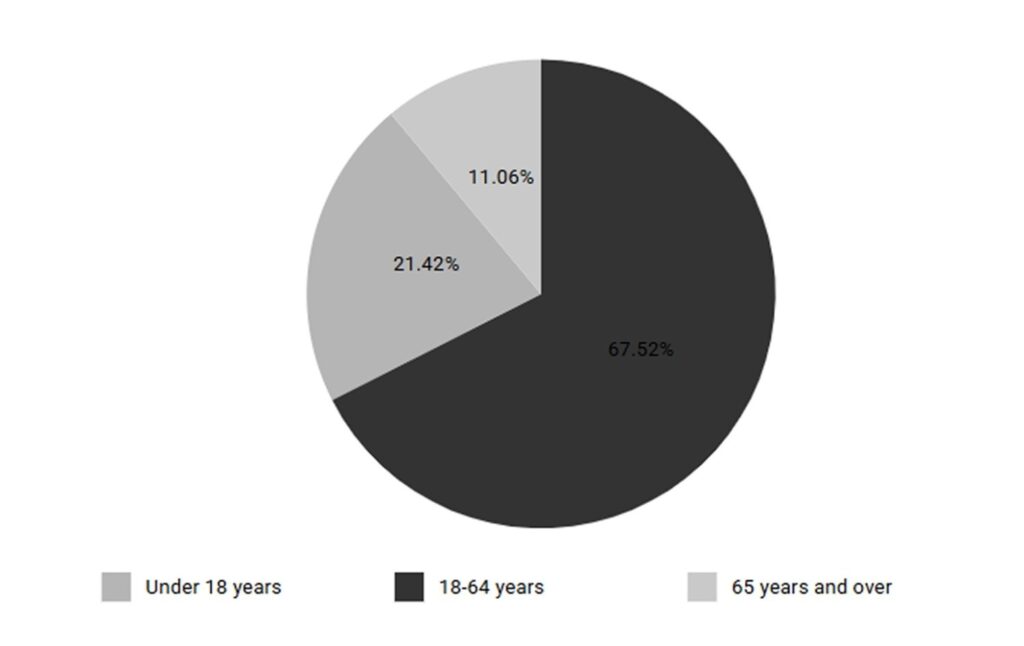 Customer profile and buying behavior