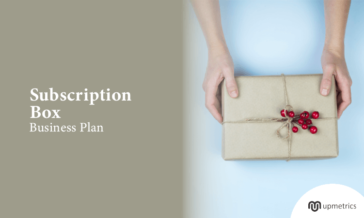 Subscription Box Business Plan Template (2024)