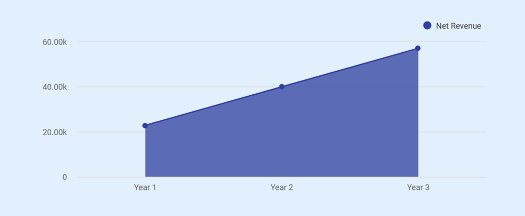 Drone business plan profit and loss statement