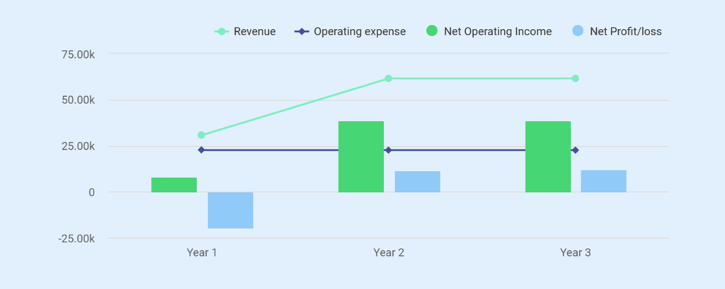 Real estate investment business plan profit and loss statement