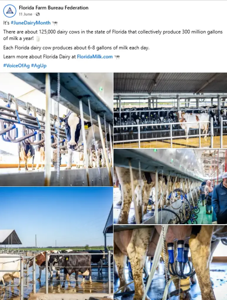 Florida and okeechobee county