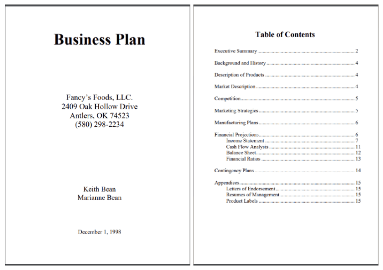 business plan examples for students 2017 pdf