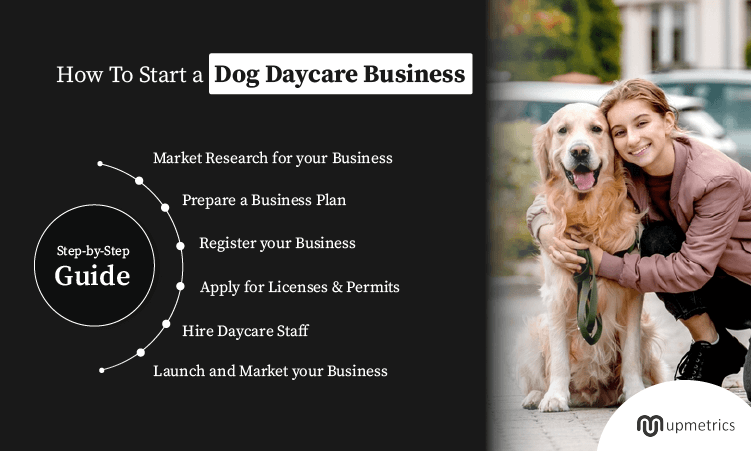 start a dog daycare business