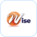 wise business plans reviews