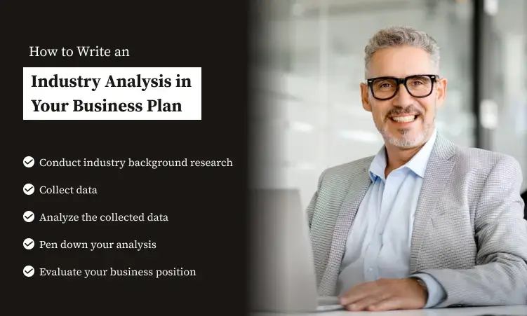 how to write an industry in business plan