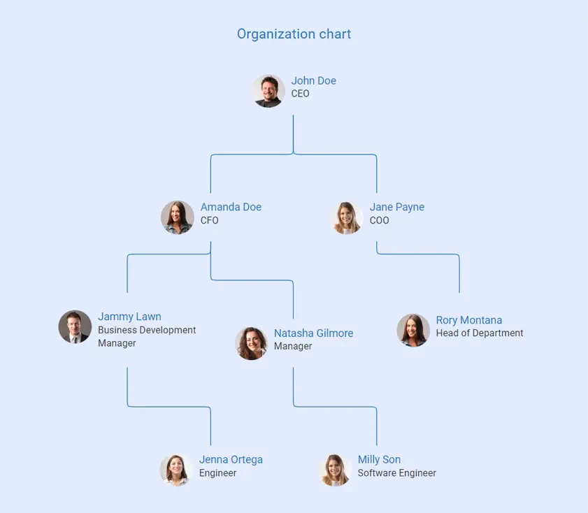 simple organizational structure