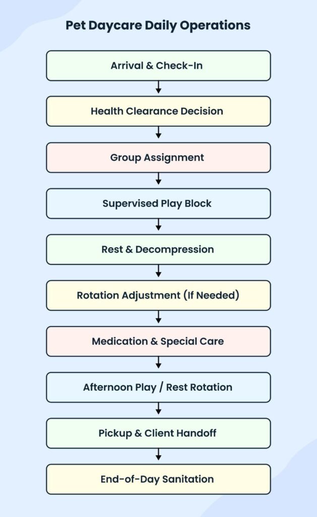 Pet daycare daily operation