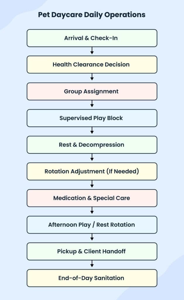 Pet daycare daily operation