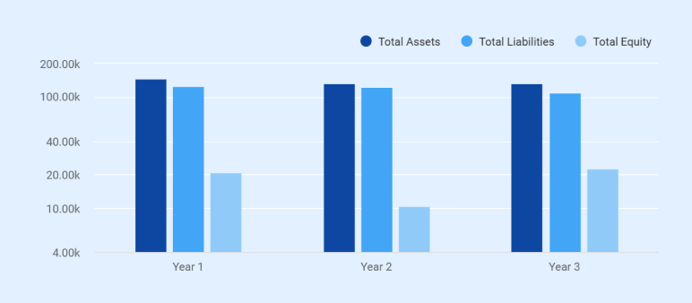 Balance sheet chart showing total assets, liabilities and equity for Riverside Market Grocery