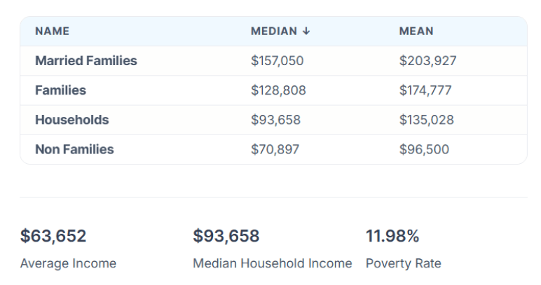 Austin income and demographics data for IV hydration market research