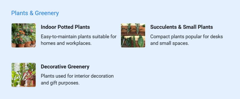 Plants and greenery product offerings at Blossom & Vine Florals