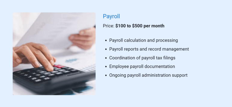 Payroll services details for accounting business plan