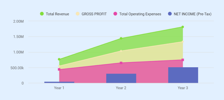 3-Year P&L Summary - business plan