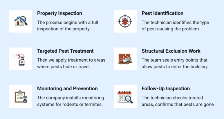 Service Delivery Process - business plan
