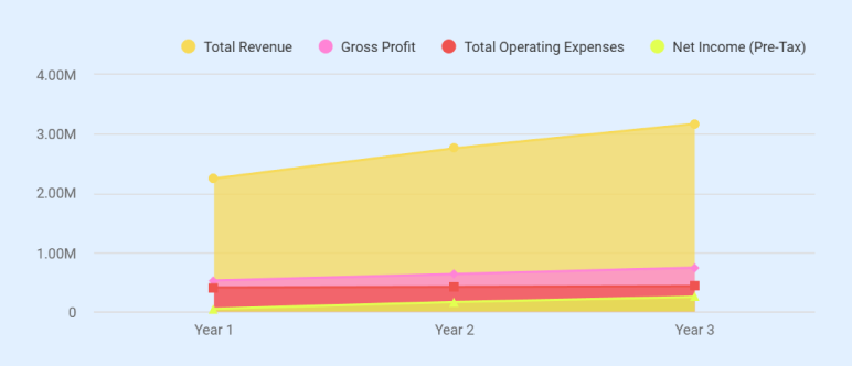 Profit & Loss Statement (3-Year Projection) - business plan