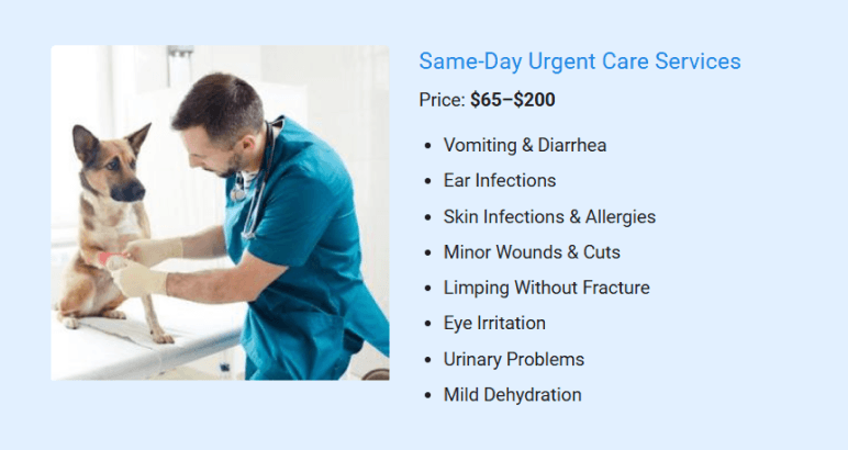 1. Same-Day Urgent Care Services - business plan